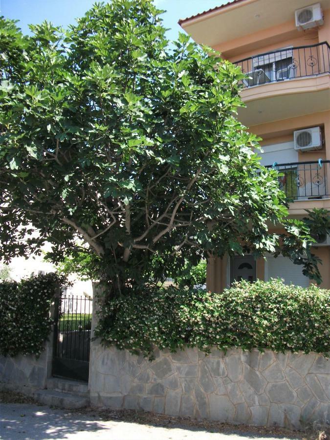 Fani House Appartement