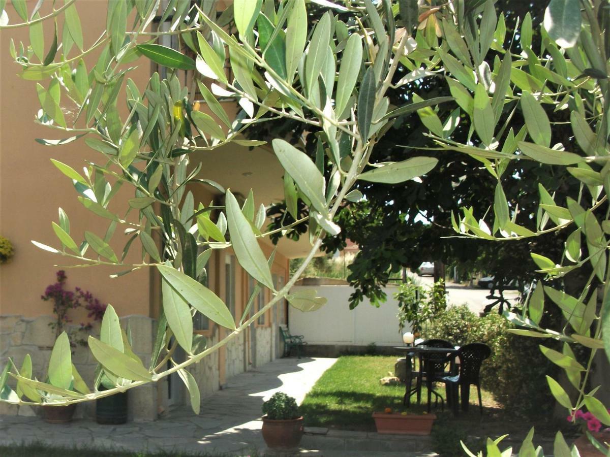 Fani House